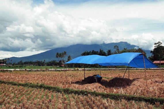 PDIP Siapkan Kader untuk Wujudkan Swasembada Pangan - JPNN.COM