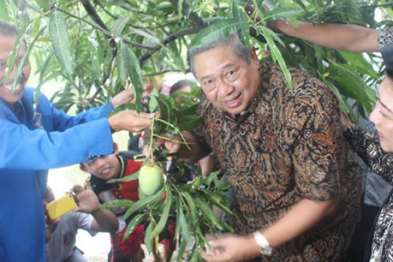 SBY Minta Kader di Cirebon dan Indramayu Doakan Mas Agus - JPNN.COM