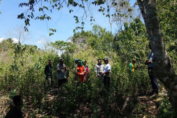 PARAH! Penjarah Hutan Lawan Aparat - JPNN.COM