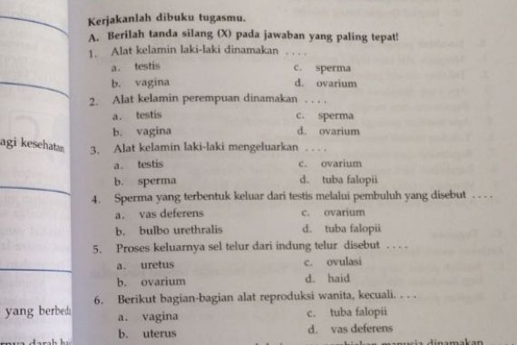 Buku Pelajaran Kelas V SD Ngawur! Kemendikbud Harus Tanggung Jawab - JPNN.COM