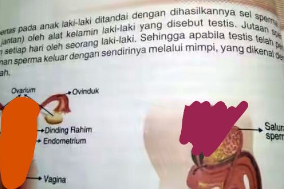 Lima Buku IPA SD Berisi Konten Vulgar Disita Polisi - JPNN.COM