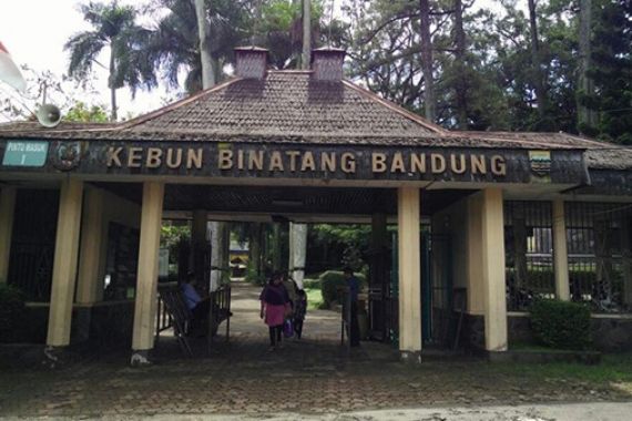 Kebun Binatang Bandung Diduga Terlibat Perdagangan Hewan Langka - JPNN.COM