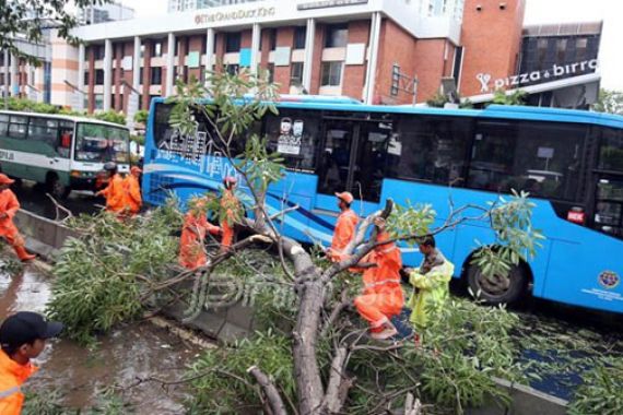 Jakarta Hari ini, Hujan Deras Sampai Angin Puting Beliung - JPNN.COM