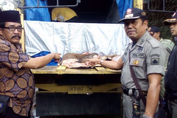 500 Kilogram Daging Babi Diamankan Satpol PP di Dharmasraya - JPNN.COM
