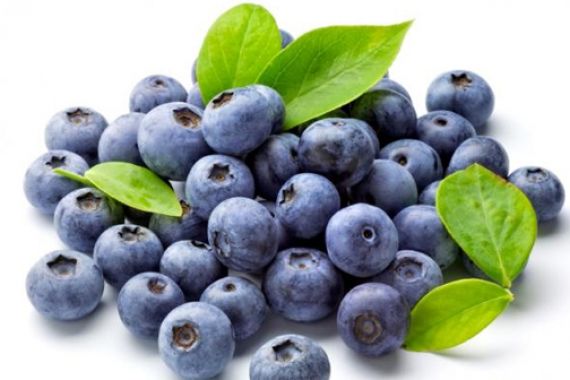 Resveratrol Pada Blue Berry Diminati Industri Kesehatan - JPNN.COM
