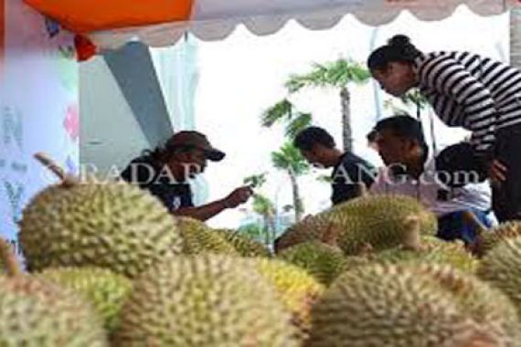 Bukan Maeenn! Ahmad Jual Durian Rp 700 Ribu - JPNN.COM