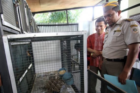 Polair Kepri Gagalkan Penyelundupan 1.300 Ekor Burung dari Malaysia - JPNN.COM