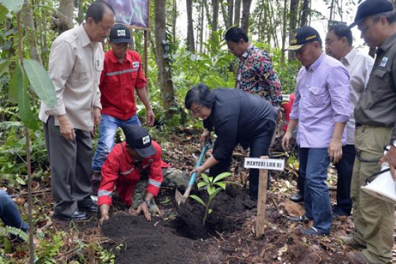 Kerja Nyata KLHK Wujudkan Nawacita - JPNN.COM