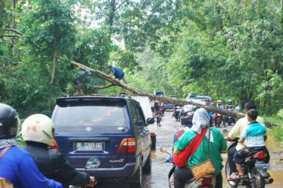 Lampung Dilanda Cuaca Ekstrem, Pohon Tumbang Timpa Rumah Warga - JPNN.COM