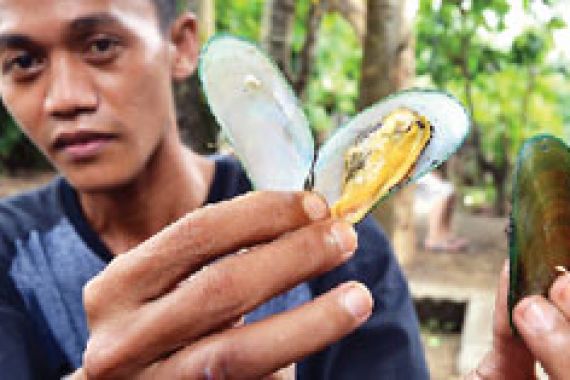 Makan Kerang Maut, Dua Orang Tewas - JPNN.COM