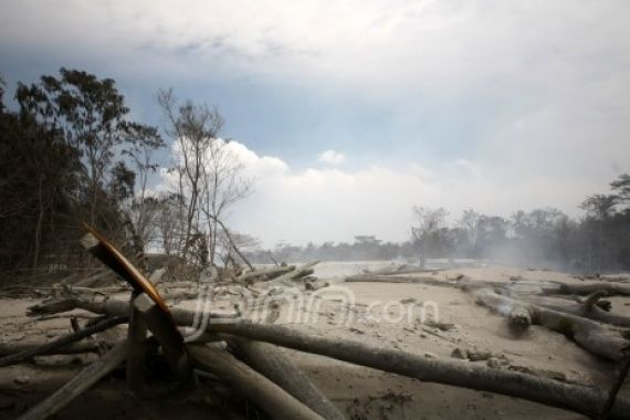 17 Maskapai Stop Terbang di Cengkareng - JPNN.COM