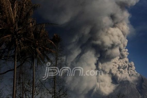 Wedhus Gembel Kembali Muncul - JPNN.COM