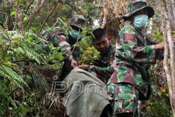 Kameramen TransTV Tersangkut di Pohon - JPNN.COM