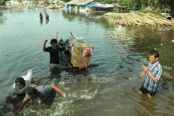 Jokowi Akan Relokasi Paksa Penghuni Liar di Waduk Pluit - JPNN.COM