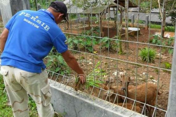 Rusa-Rusa Korban KPK Segel Harta Djoko - JPNN.COM