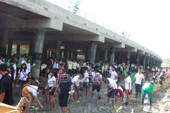 Ajak Warga Bali Tanam Mangrove di Sekitar Tol - JPNN.COM