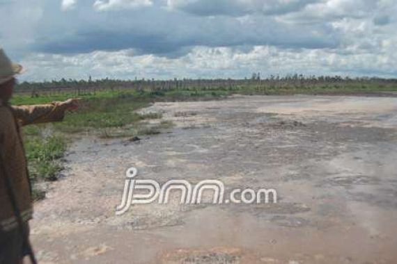 Cemari Sungai Negara, PT SAM Bisa Dijerat Kejahatan Lingkungan - JPNN.COM