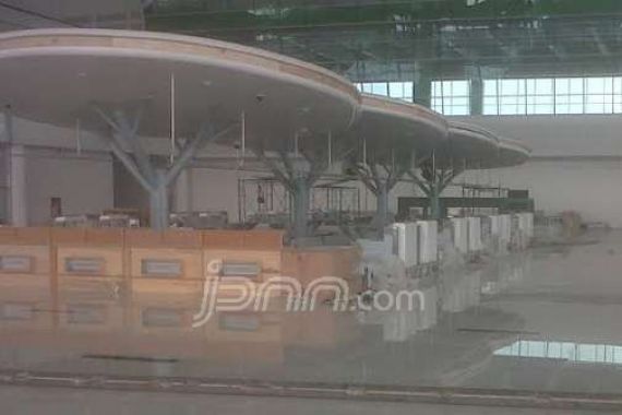 Ada 16 Jamur Raksasa di Bandara Sepinggan - JPNN.COM