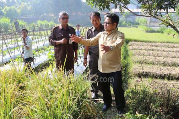 Purnawirawan TNI Angkatan Darat Bakal Jadi Transmigran - JPNN.COM