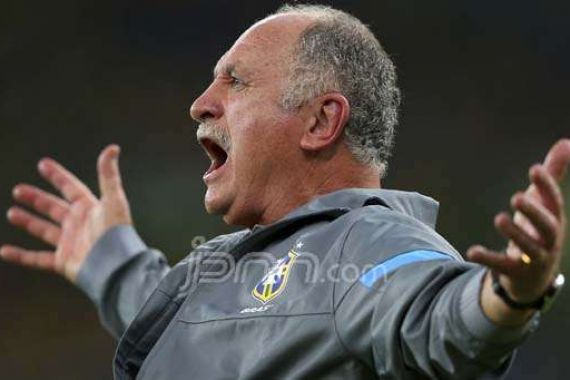 Scolari Nilai Skuat Brasil 2014 Sangat Menjanjikan - JPNN.COM