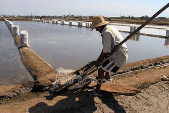 Petani Garam di Pasuruan Tunggu Bantuan untuk Beli Terpal - JPNN.COM