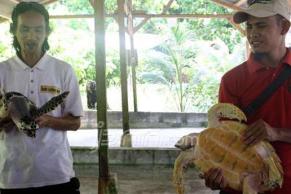 Sukses Rebut Pulau Kepayang dari Tangan Tommy Soeharto - JPNN.COM
