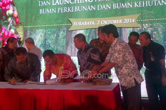 Dahlan Iskan Resmikan Holding BUMN Perkebunan dan Kehutanan - JPNN.COM