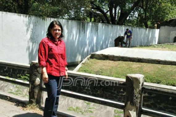 Sudah Lama Berkawan dengan Orang Utan - JPNN.COM