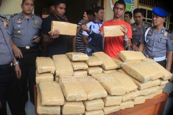 Bawa Ganja 63 Kilogram, Mahasiswa Aceh Ditangkap di Jambi - JPNN.COM