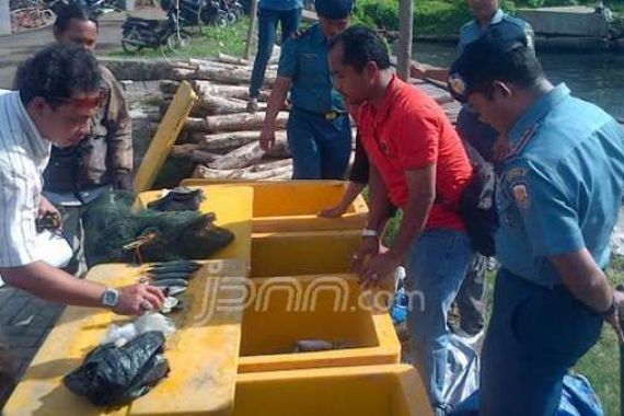 Ngebom Ikan, 7 Nelayan Lampung Selatan Dibekuk Lanal Banten - JPNN.COM