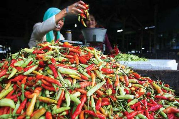 Stabilkan Harga Kebutuhan Pokok, Operasi Pasar Jadi Jalan Keluar - JPNN.COM