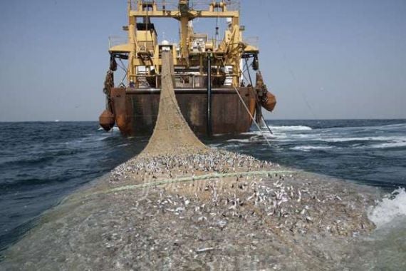 Seraaam, 'Monster' Penguras Ikan di Laut Indonesia yang Diunggah Menteri Susi - JPNN.COM