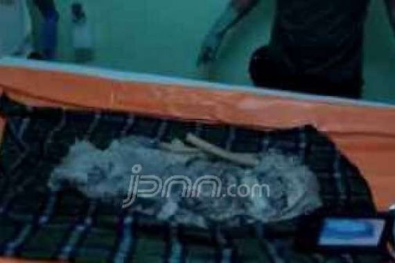 Jenazah Keempat Korban AirAsia Ditemukan Tinggal Kulit dan Tulang - JPNN.COM