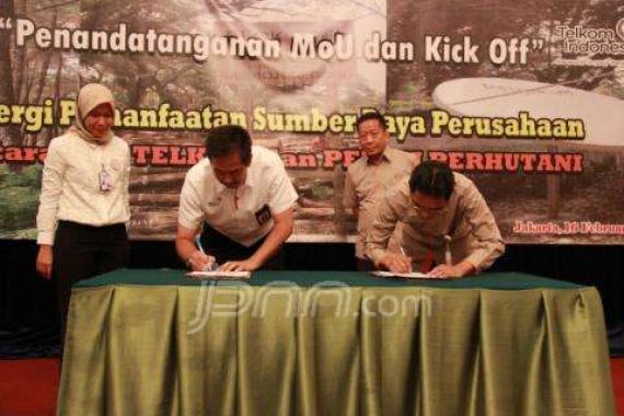 Gandeng Telkom, Perhutani Jual Kayu Lewat Online - JPNN.COM