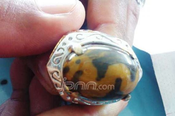 Batu Akik Berlambang Naga Kuning Ini Dijual Rp20 Miliar - JPNN.COM