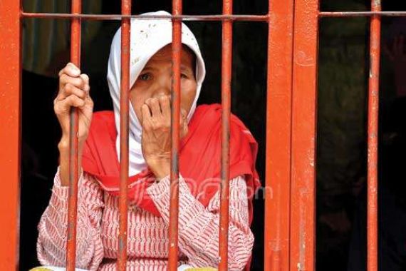 Koalisi Anti Mafia Hutan Desak Nenek Asyani Dibebaskan - JPNN.COM