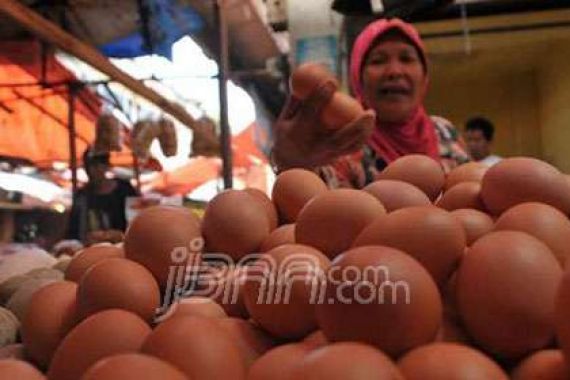 Harga Telur dan Ayam Pedaging di Depok Turun - JPNN.COM