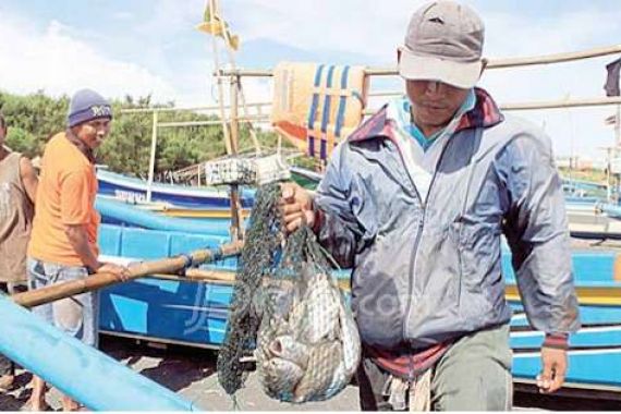 Lobster Dibatasi, Nelayan Buru Bawal - JPNN.COM