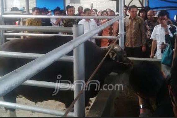 Ahok: Kasih Nama USB Aja! - JPNN.COM