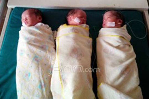 Lihat Nih...Bayi Laki-laki Kembar Tiga Sungguh Menggemaskan - JPNN.COM