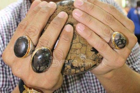 Wow...Batu Akik Sisik Naga Kini Harganya Menggiurkan - JPNN.COM