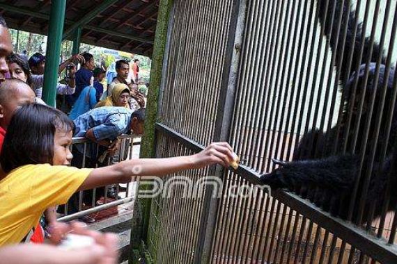 Libur Lebaran, Ragunan dan Ancol Diserbu Wisatawan - JPNN.COM