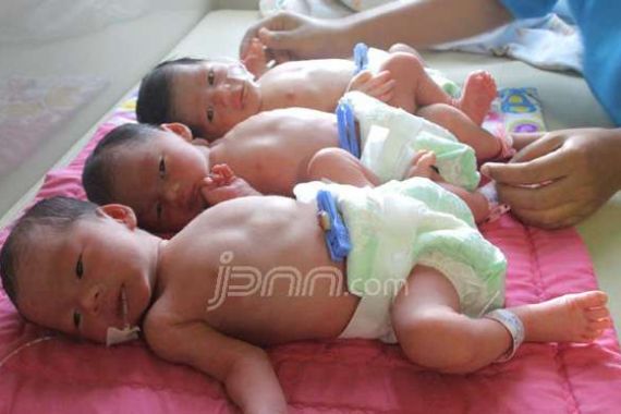 Bayi Kembar Empat Lahir, Tiga Meninggal, Satunya Kritis - JPNN.COM
