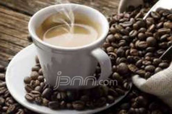 Makanan Pengganti Kafein Untuk Tingkatkan Energi - JPNN.COM