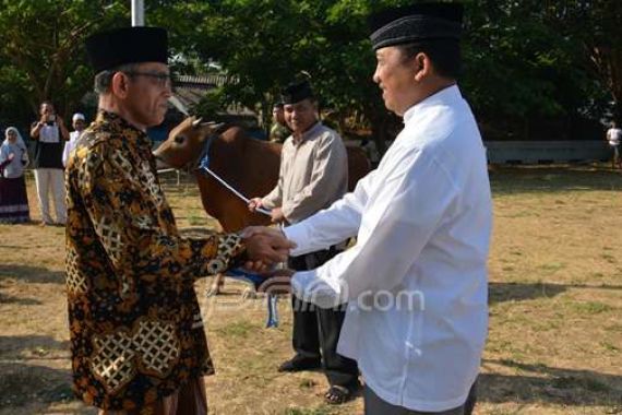 Gubernur AAL Serahkan Hewan Kurban di Masjid Nurul Bahri - JPNN.COM