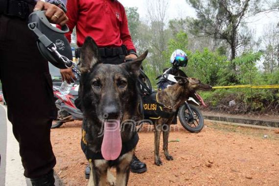 Buru Pembunuh Siswi Cantik Itu, Polda Kerahkan Seluruh Anggotanya, Termasuk Ini... - JPNN.COM