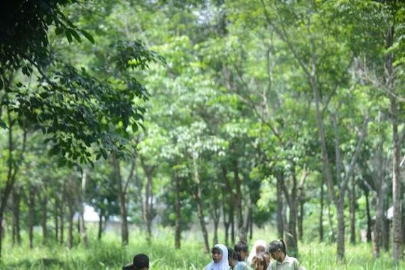 Miris, Jalan Ditutup Perusahaan, Para Pelajar Ini ke Sekolah Lewat Sawah dan Rawa - JPNN.COM