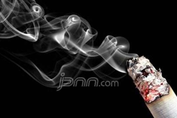 Bikin Perda Larangan Merokok, Anggota DPRD Malah Ngebul di Ruang Paripurna - JPNN.COM