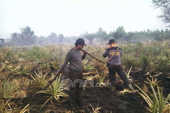 Waspada Kabut Asap, Riau Sumbang 53 Hotspot - JPNN.COM