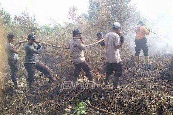 Kebakaran Lahan Semakin Meluas, 18 Titik di Dumai - JPNN.COM